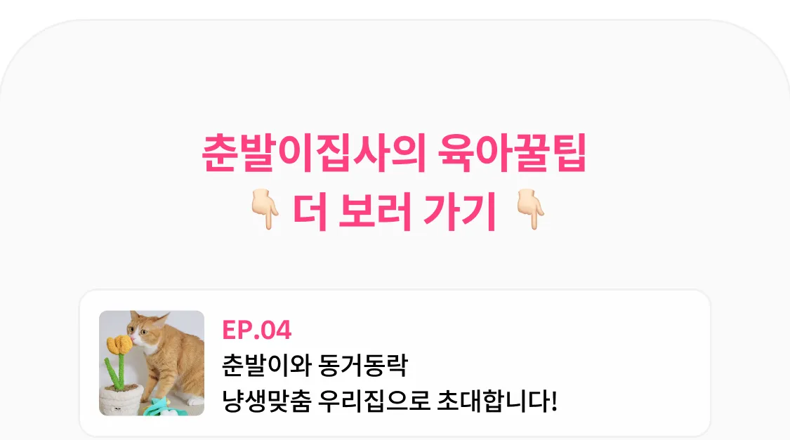 8번째 파일
