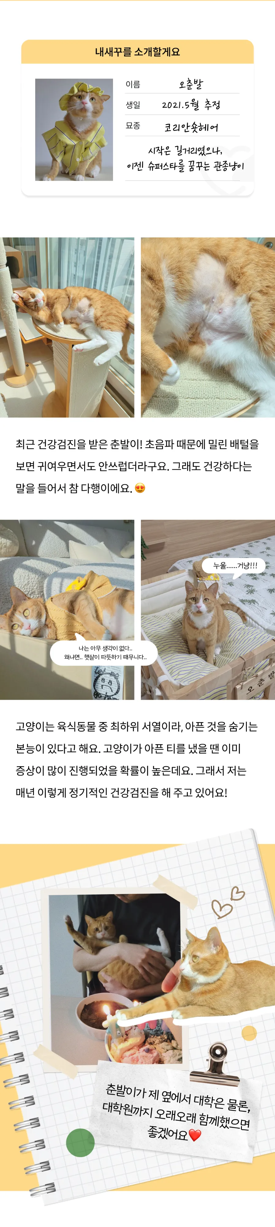 2번째 파일