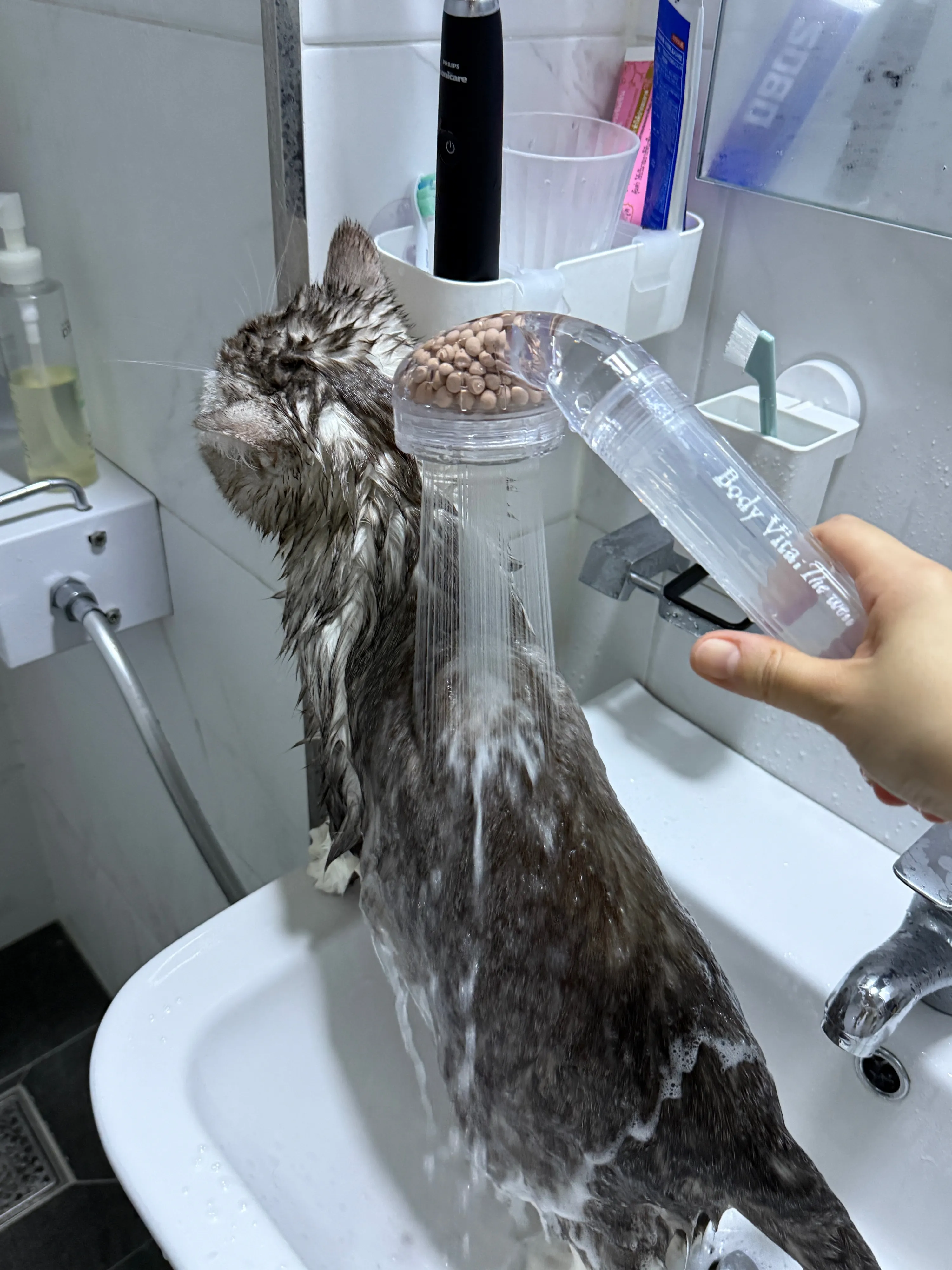 5번째 파일