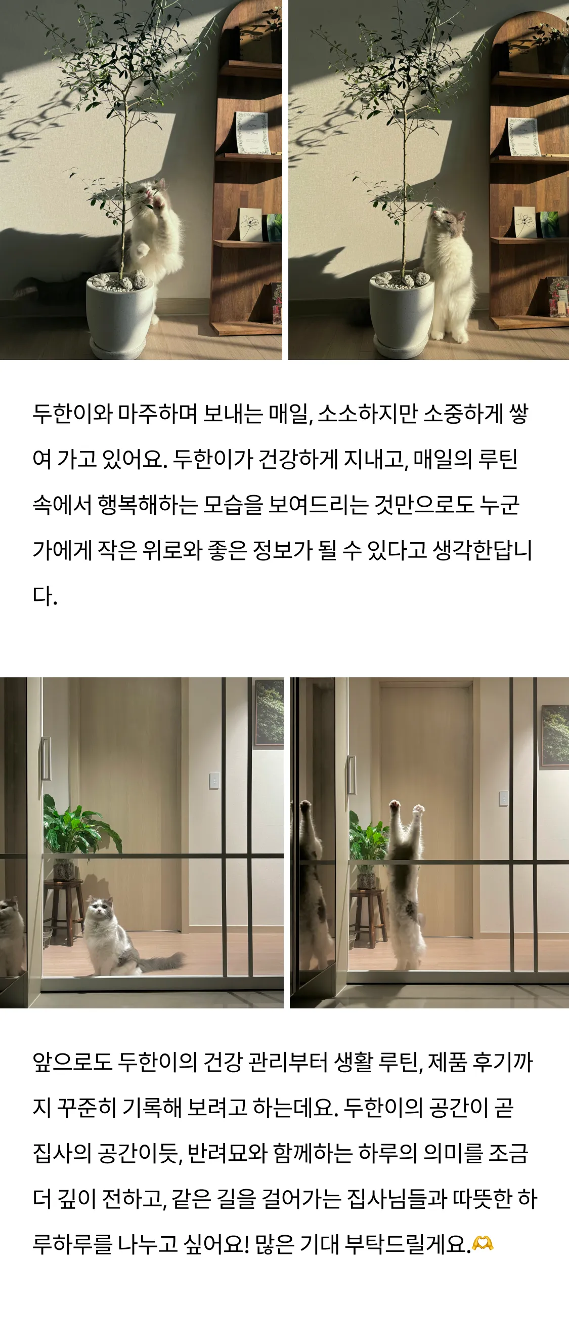 6번째 파일