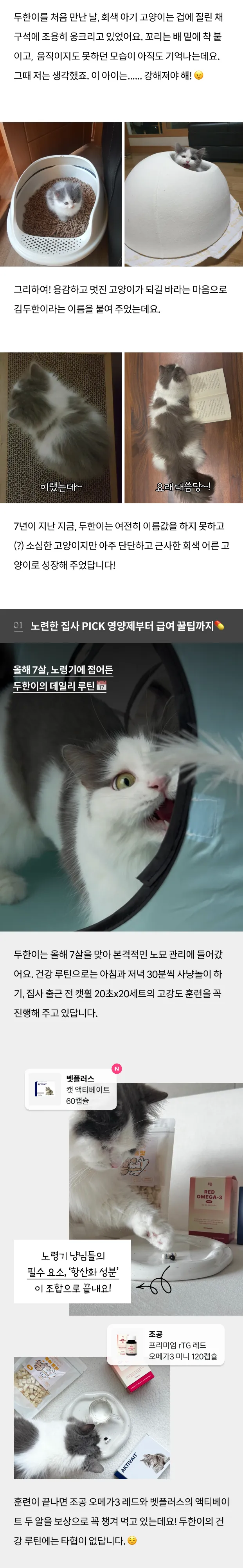 2번째 파일