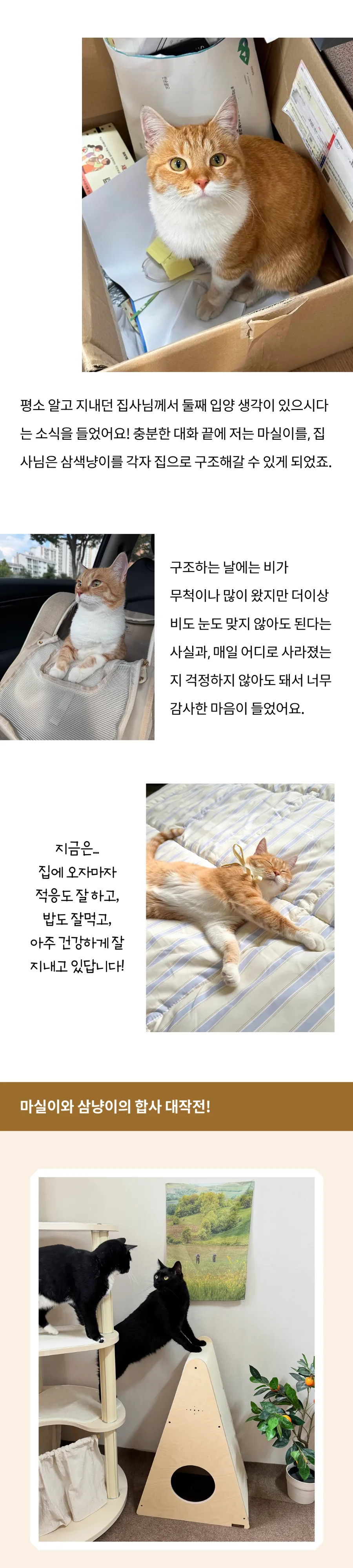 3번째 파일