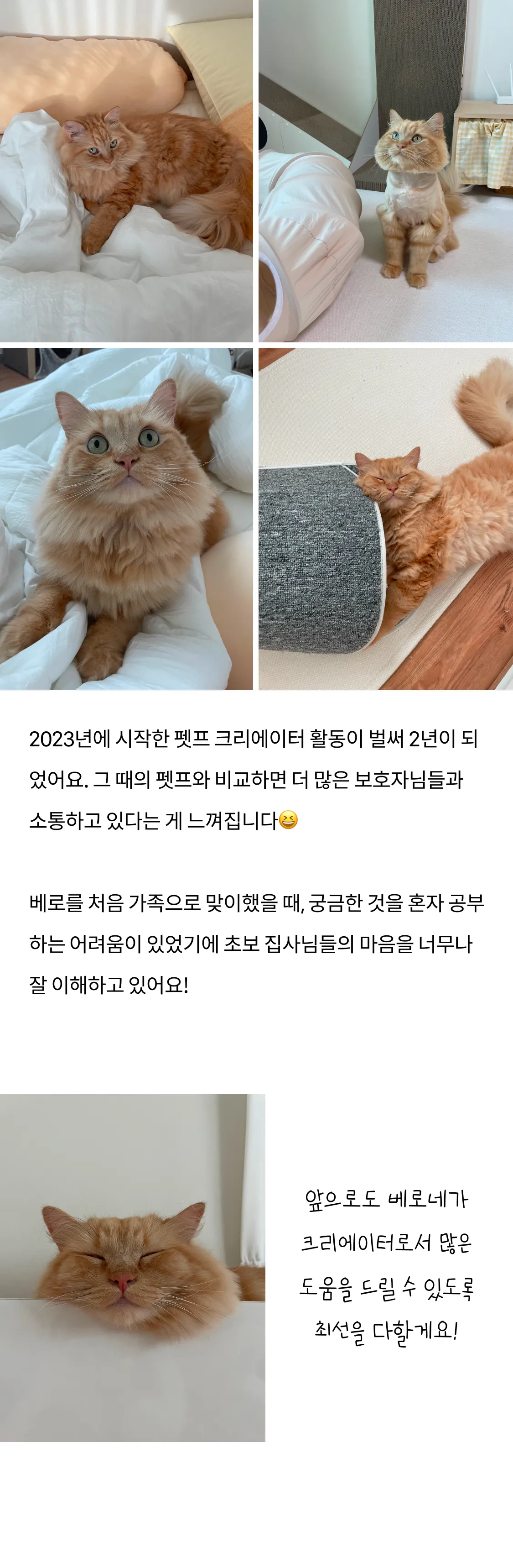 8번째 파일