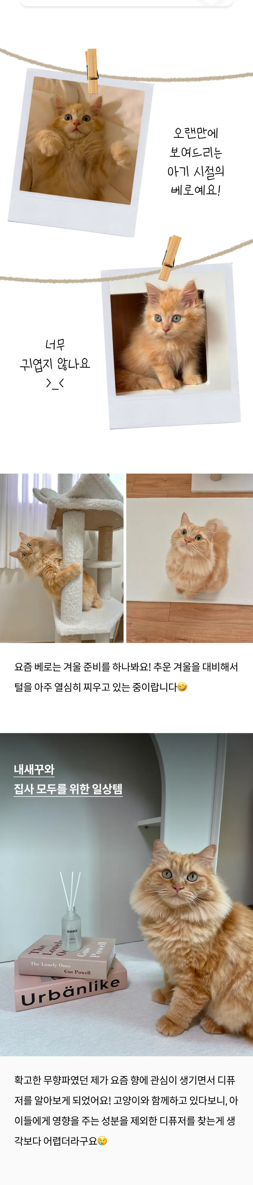 2번째 파일
