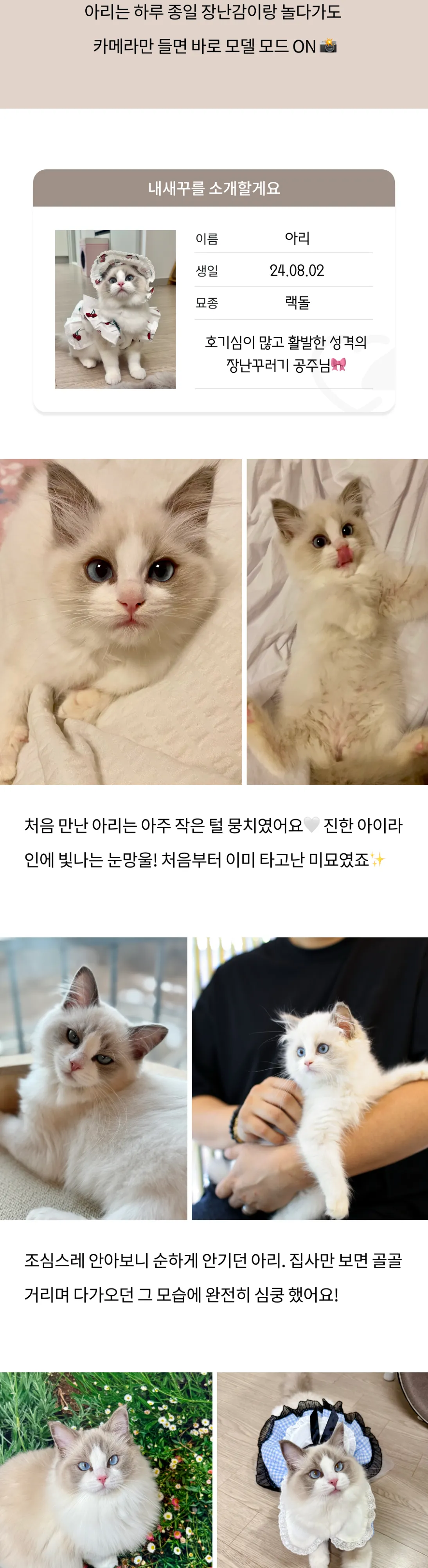 2번째 파일