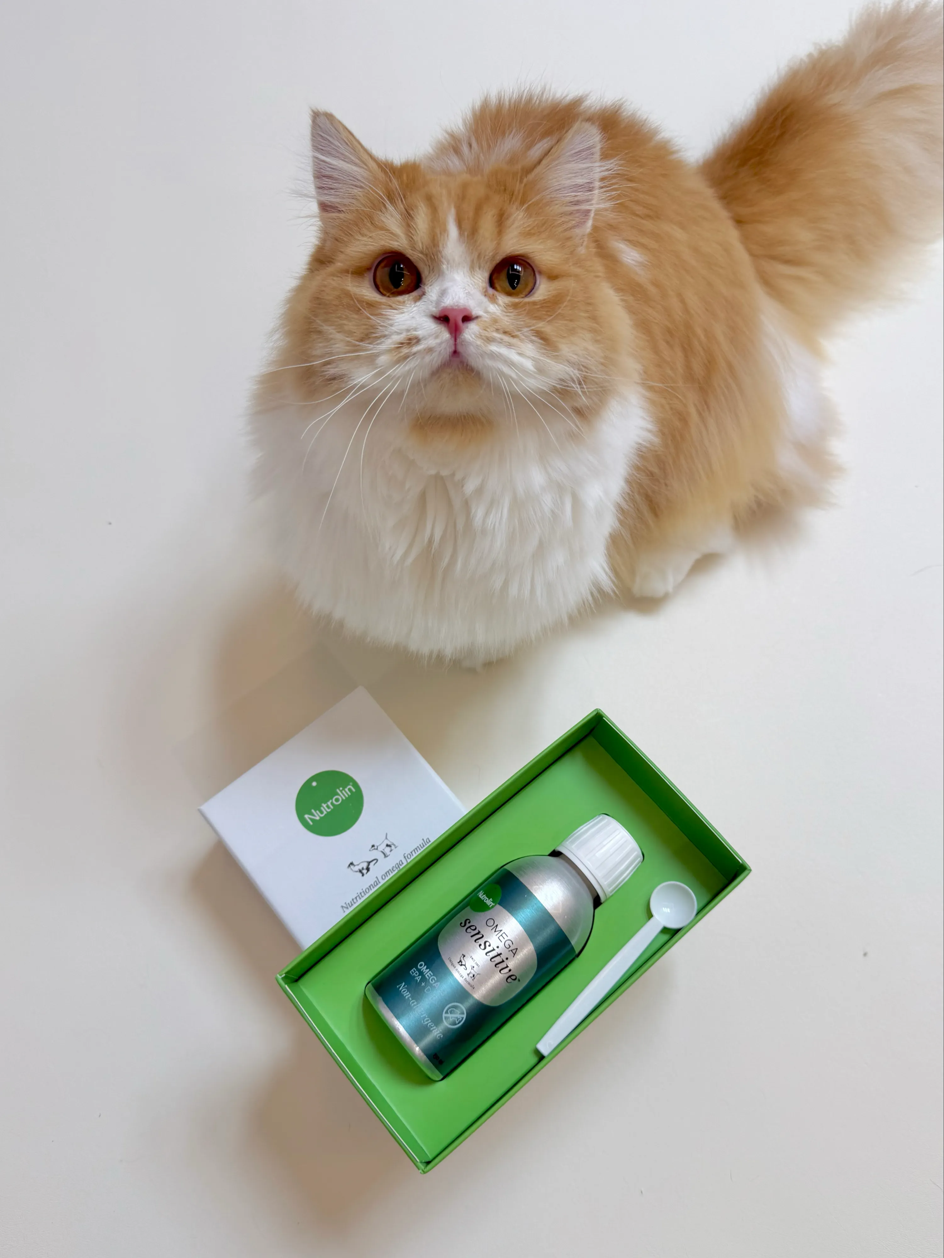 집사생활(커뮤니티) 데일리 헬스케어 루틴! 뉴 | 반려동물 1등 쇼핑몰 - 펫프렌즈