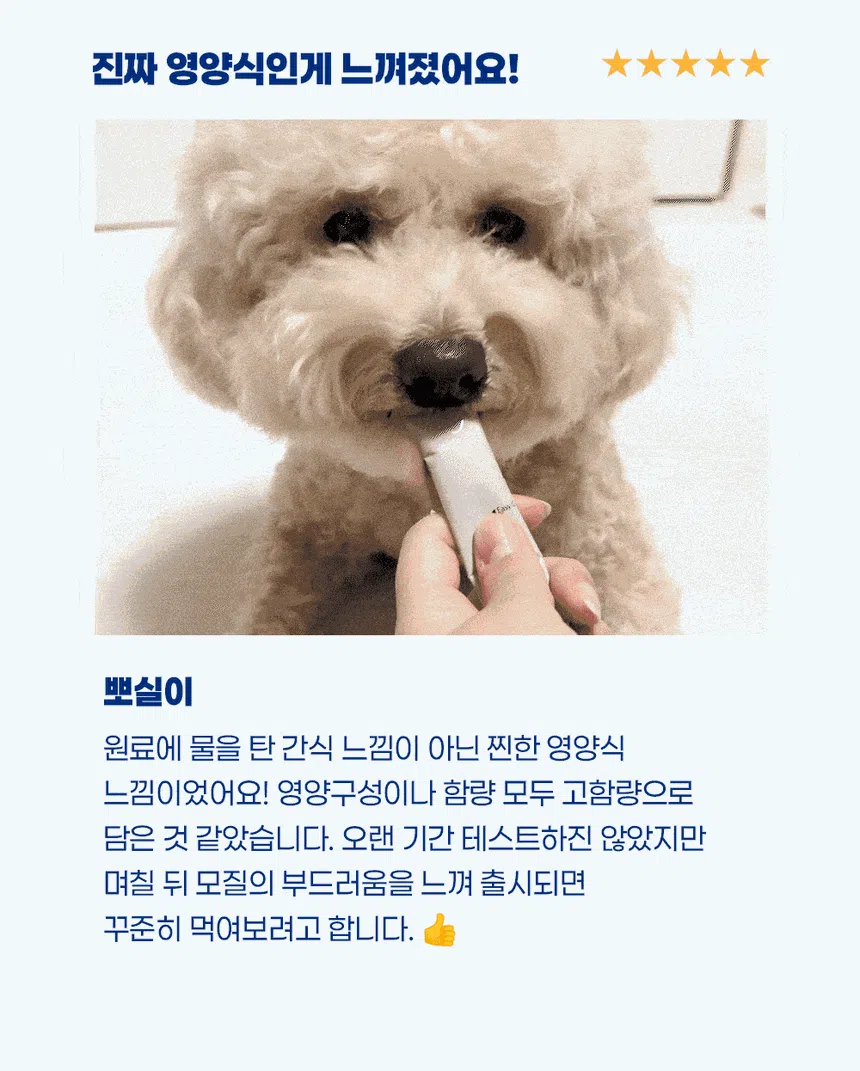 [NEW신상]스탠다드포포우 독 종합영양제 10g*10개입 4번째