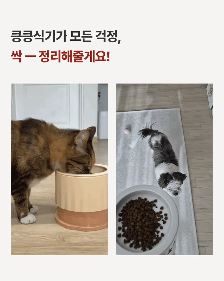[NEW신상][무료배송] 꼬물리 킁킁식기 프레임&필터보울&솔리드보울 5번째