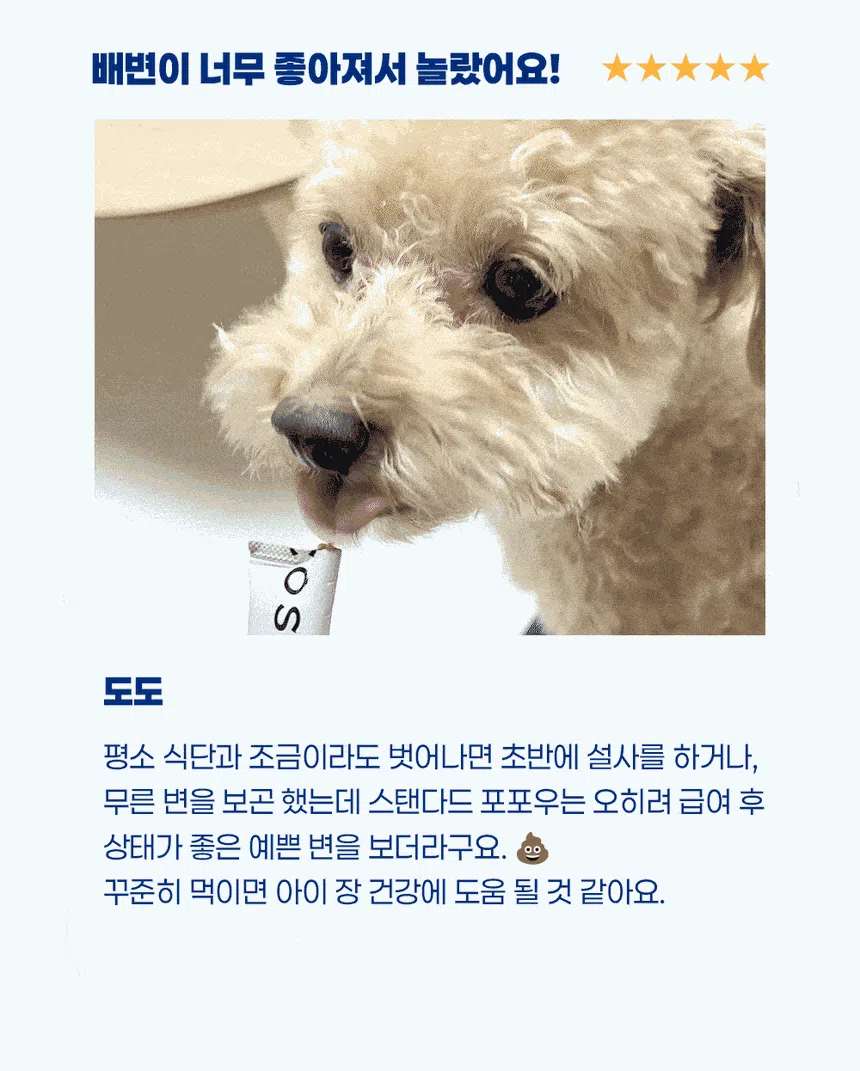 [NEW신상]스탠다드포포우 독 종합영양제 10g*10개입 2번째