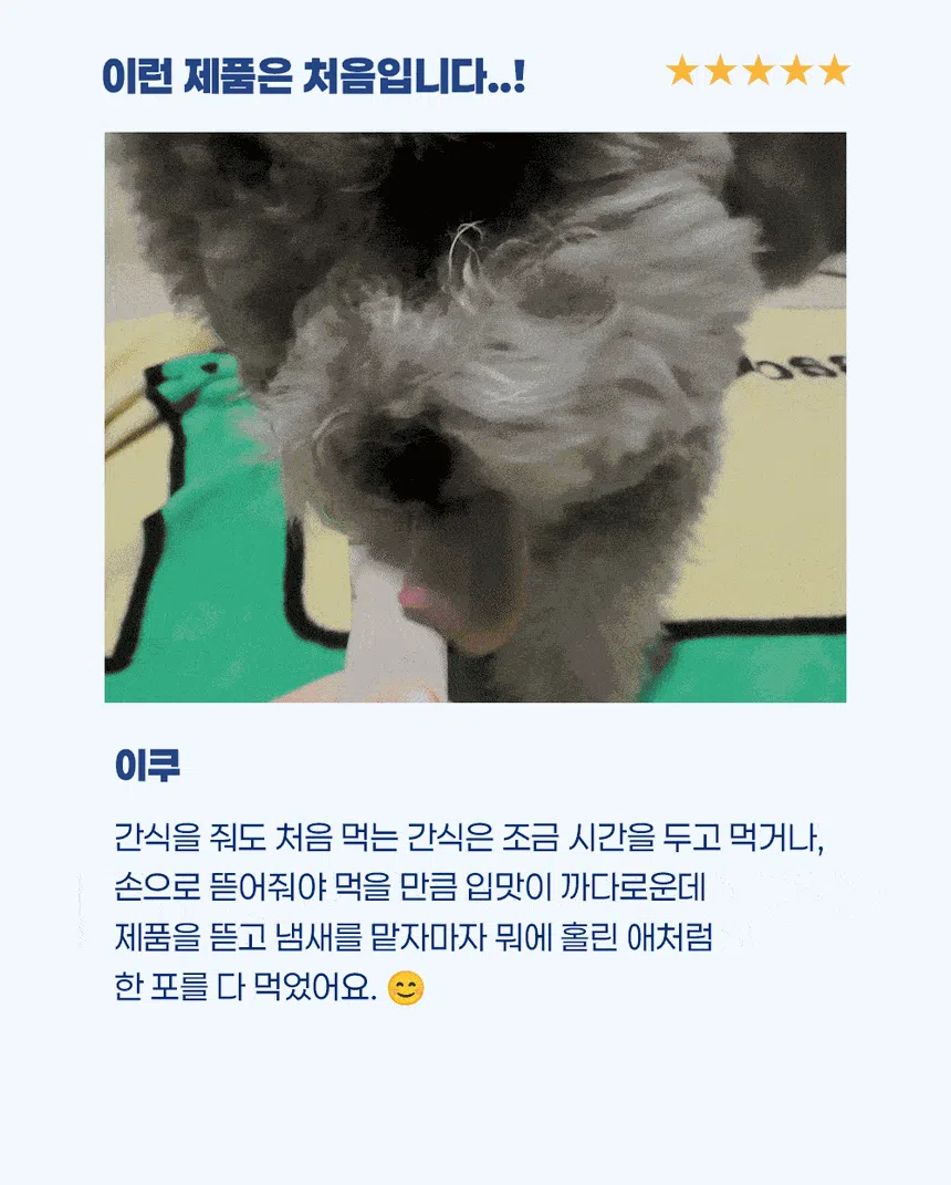 [NEW신상]스탠다드포포우 독 종합영양제 10g*10개입 3번째