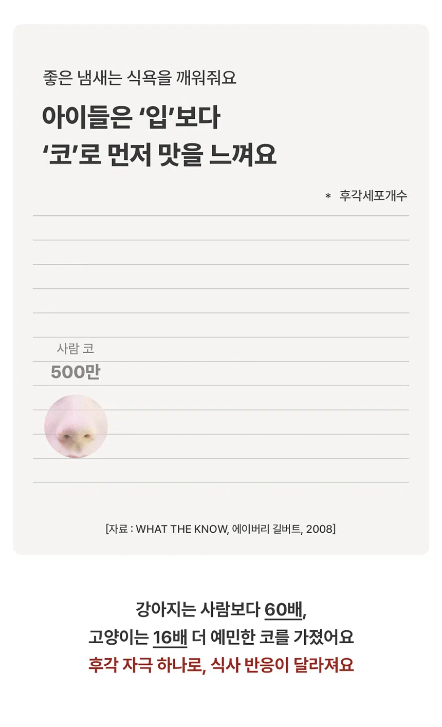 [NEW신상][무료배송] 꼬물리 킁킁식기 프레임&필터보울&솔리드보울 12번째