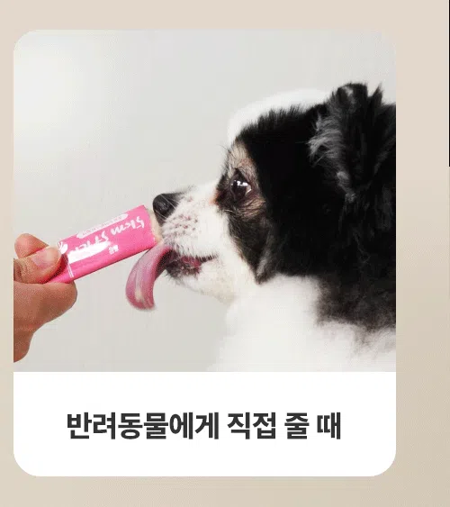[NEW신상]조공 오키로스틱 핑크 14g*4p 20번째