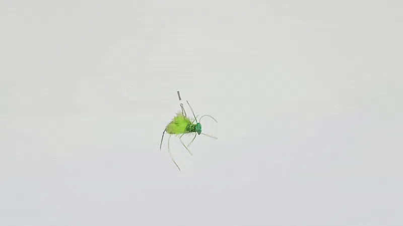 [NEW신상]크레용펫 살벌메뚜기 낚시대 리필 그린/핑크 4번째