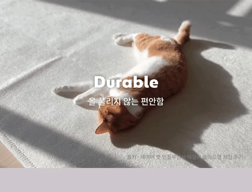 [무료배송] 체고케어 솔리드 펄 생활 방수 러그 미끄럼방지 펫매트 4color 31번째