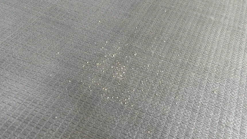 [무료배송] 체고케어 시어서커 여름 러그 올뜯김없는 털안붙는 냉감 매트 21번째