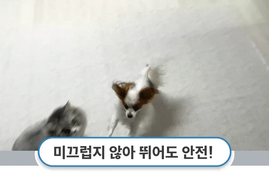 [무료배송] 체고케어 루체 생활 방수 러그 펫매트 16color 17번째