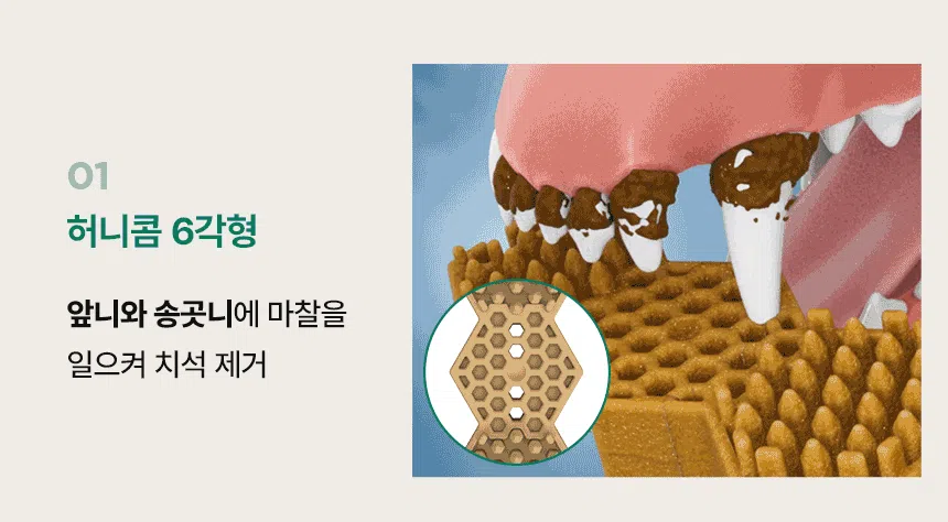 [NEW신상]닥터페트라 펫즐 허니콤 오리지널 9g*12p 20번째