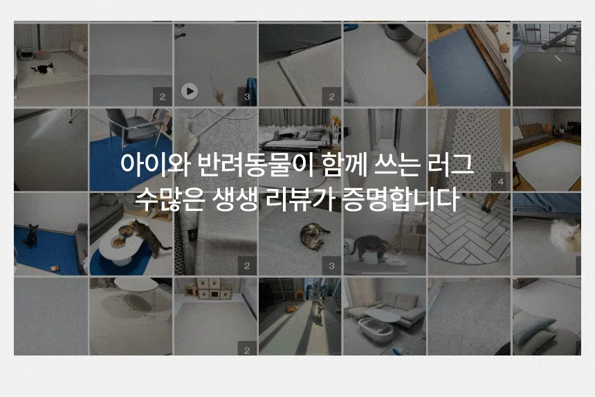 [무료배송] 체고케어 루체 생활 방수 러그 펫매트 16color 24번째