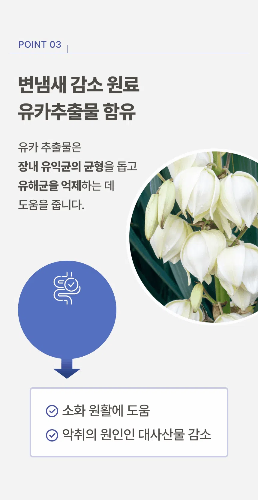 [NEW신상][무료배송] 파우클 독 퍼스트프로 신선한 연어순살 사료 1kg 11번째