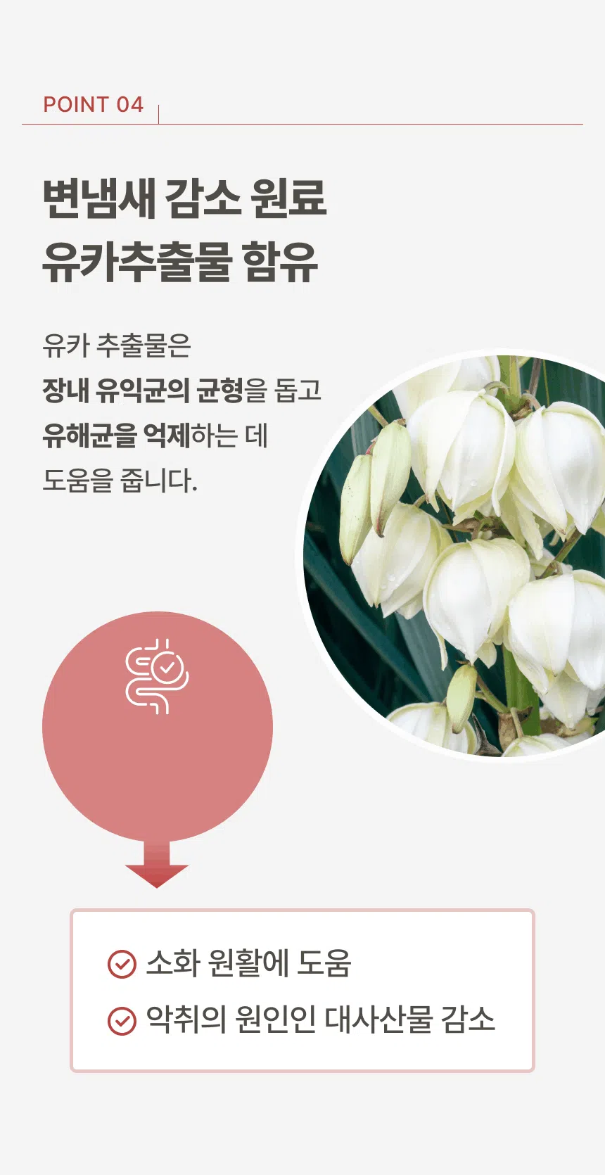 [체험단] [무료배송] [2개] 파우클 독 퍼스트프로 신선한 닭고기 생육 사료 100g 12번째