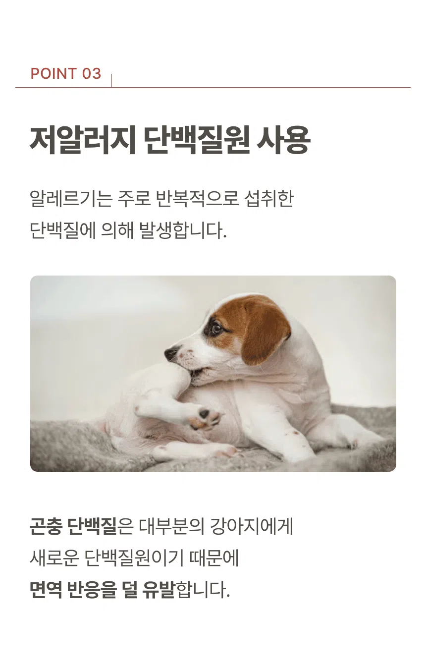 [NEW신상][무료배송] 파우클 독 퍼스트프로 신선한 닭고기 생육 사료 1kg 11번째