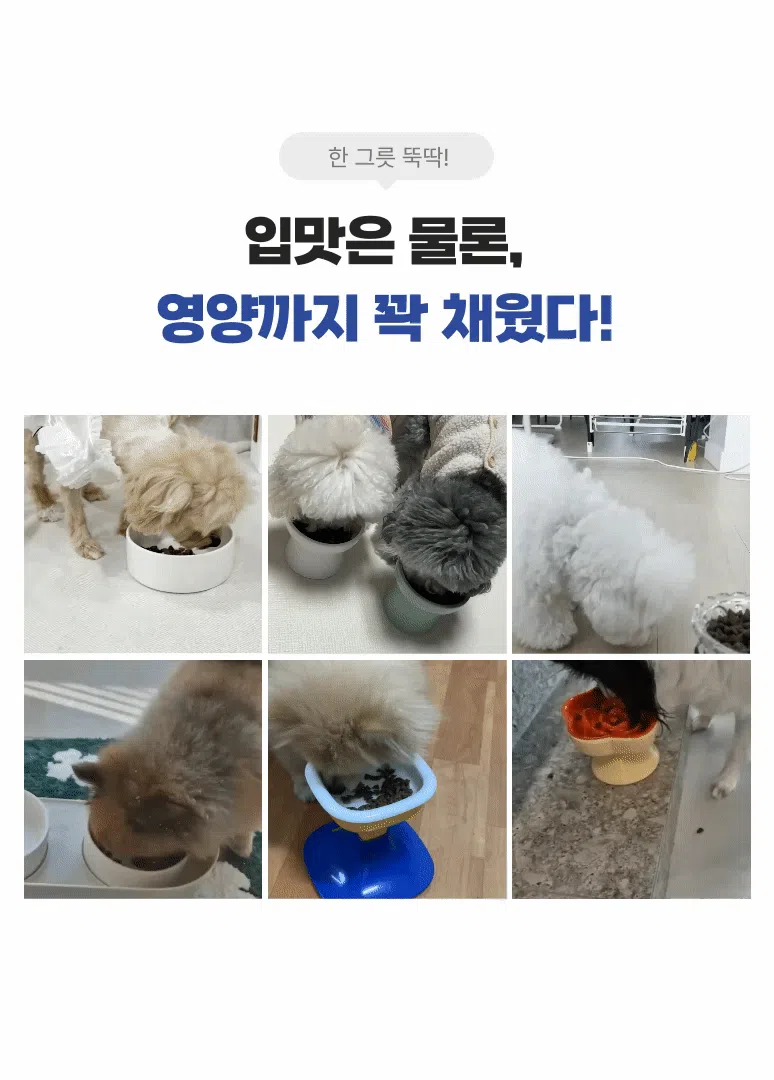 [NEW신상][무료배송] 파우클 독 하이포프로 눈건강 사료 1kg 5번째