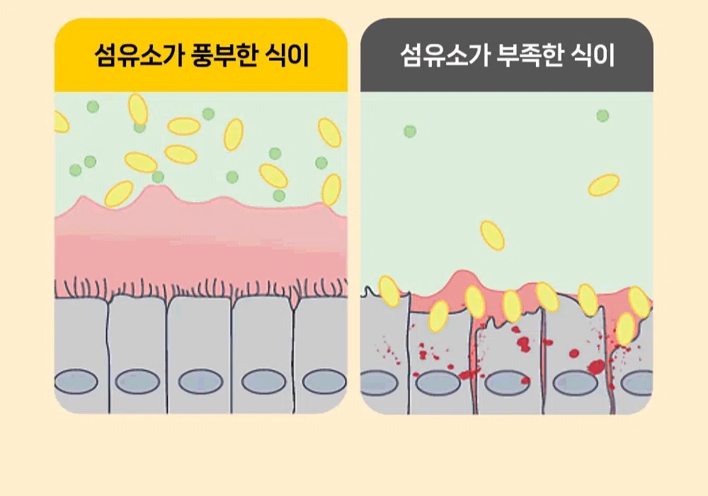 [NEW신상][무료배송] 포프랭 식이섬유 영양제 젤리루틴 BCS 5/9 30포 17번째