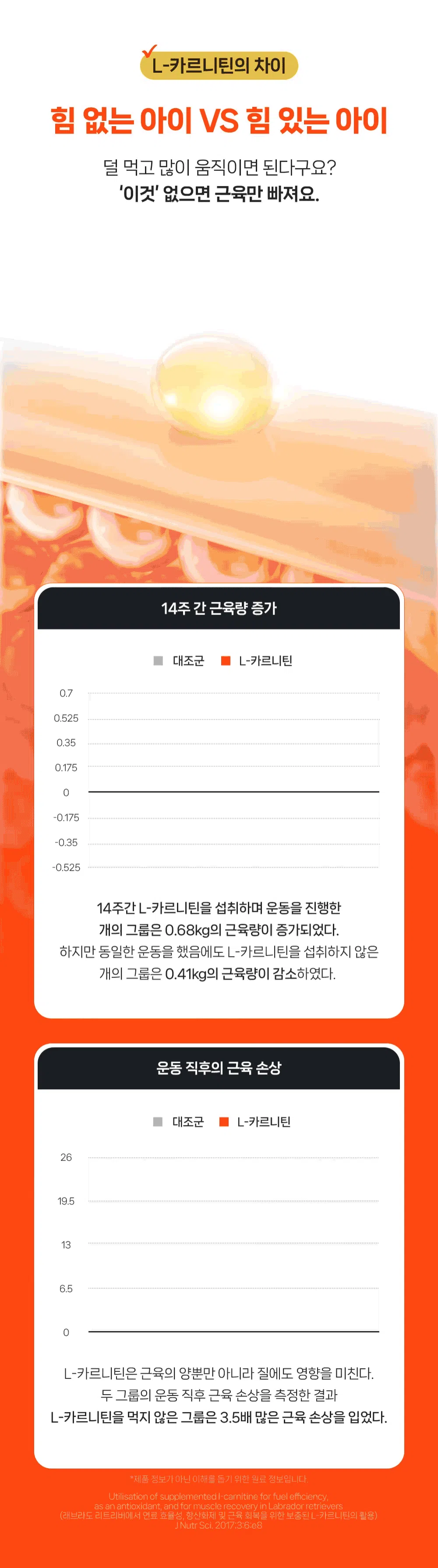 [NEW신상][무료배송] 포프랭 식이섬유 영양제 젤리루틴 BCS 5/9 30포 32번째