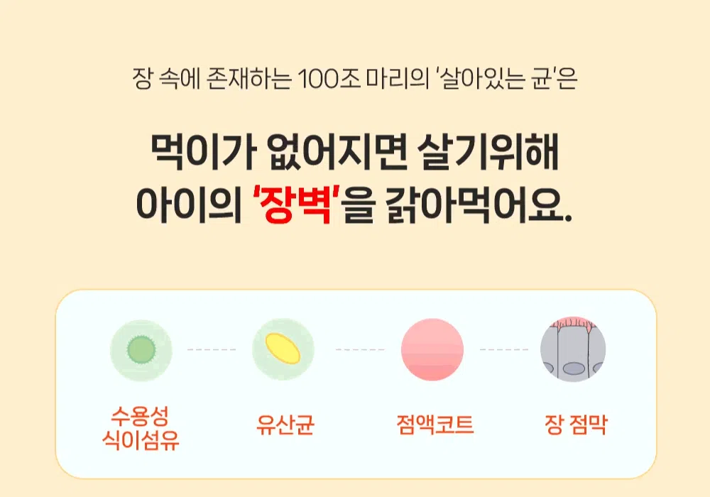 [NEW신상][무료배송] 포프랭 식이섬유 영양제 젤리루틴 BCS 5/9 30포 16번째