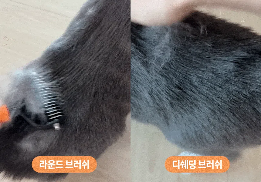 [무료배송] 펫펍 청정 브러쉬 5번째