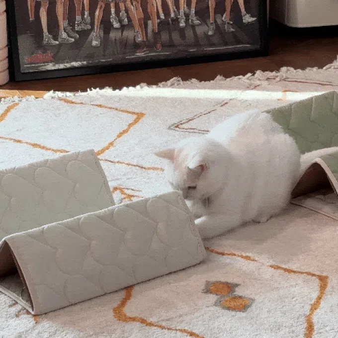[NEW신상]집에가야돼 지붕 위 고양이 5번째