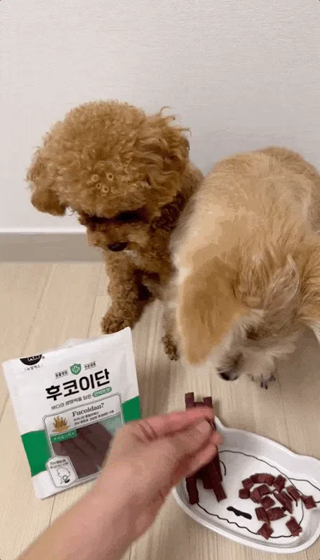 [NEW신상][무료배송] 뉴알엑스 후코이단 사슴스틱 100g 4번째