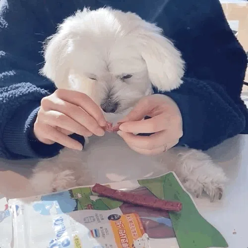 [NEW신상][무료배송] 뉴알엑스 산양 글루코사민 스틱 100g 1번째