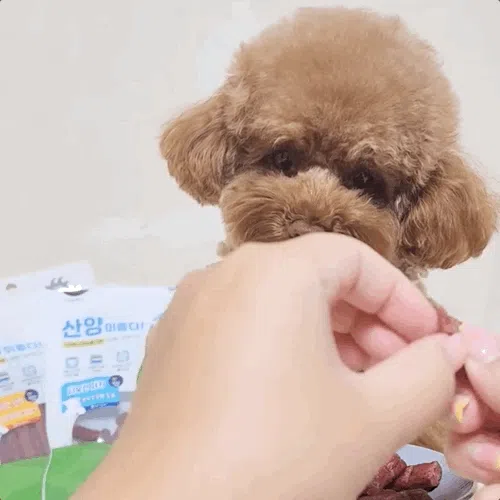[NEW신상][무료배송] 뉴알엑스 산양 타우린 져키 100g 6번째