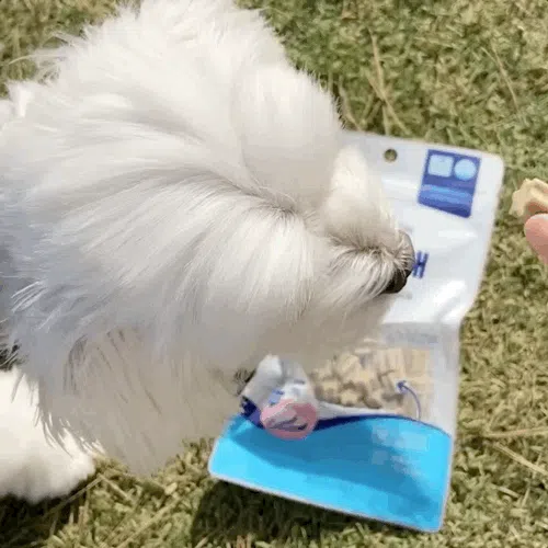 [NEW신상][무료배송] 뉴알엑스 가수분해 닭고기 100g 2번째