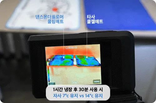 [무료배송] 댄스온더플로어 푸드 그레이드 리버시블 양면 하입 쿨링매트 13번째