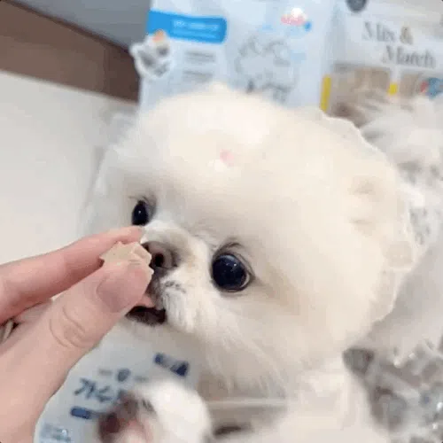 [NEW신상][무료배송] 뉴알엑스 가수분해 닭고기 100g 1번째