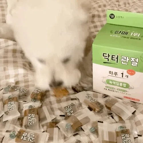 [NEW신상][무료배송] 뉴알엑스 닥터 관절 건강 30개입 240g 2번째