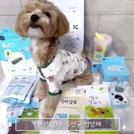 [NEW신상][무료배송] 뉴알엑스 닥터 관절 건강 30개입 240g 5번째