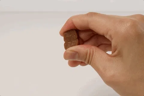 [NEW신상][무료배송] 뉴알엑스 소화 RX 유산균 60개입 180g 12번째