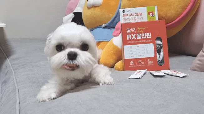 [NEW신상][무료배송] 뉴알엑스 활력 RX 올인원 60개입 180g 8번째