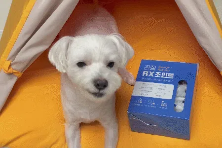 [NEW신상][무료배송] 뉴알엑스 관절 RX 조인트 60개입 180g 10번째