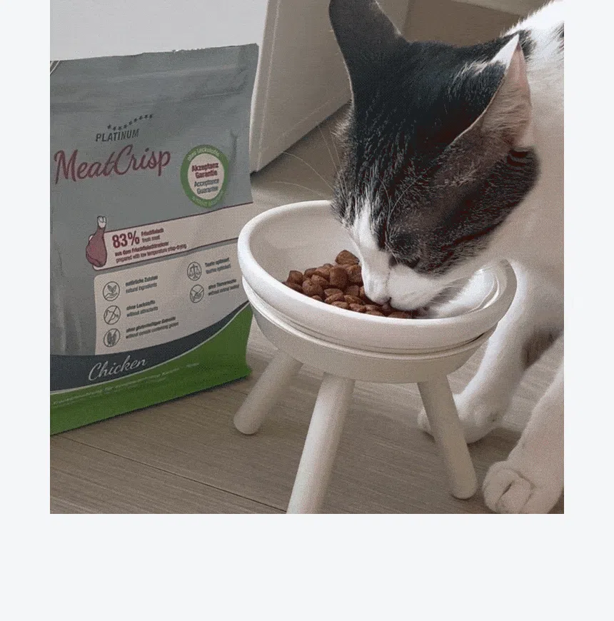[NEW신상]플래티넘 캣 미트크리스프 치킨 스테럴라이즈드 1.5kg 5번째