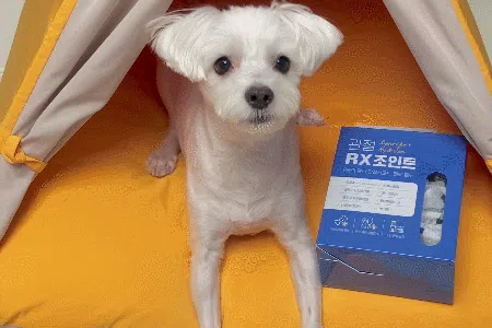 [NEW신상][무료배송] 뉴알엑스 관절 RX 조인트 60개입 180g 9번째