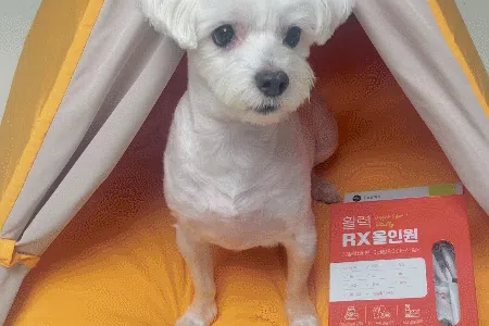 [NEW신상][무료배송] 뉴알엑스 활력 RX 올인원 60개입 180g 11번째