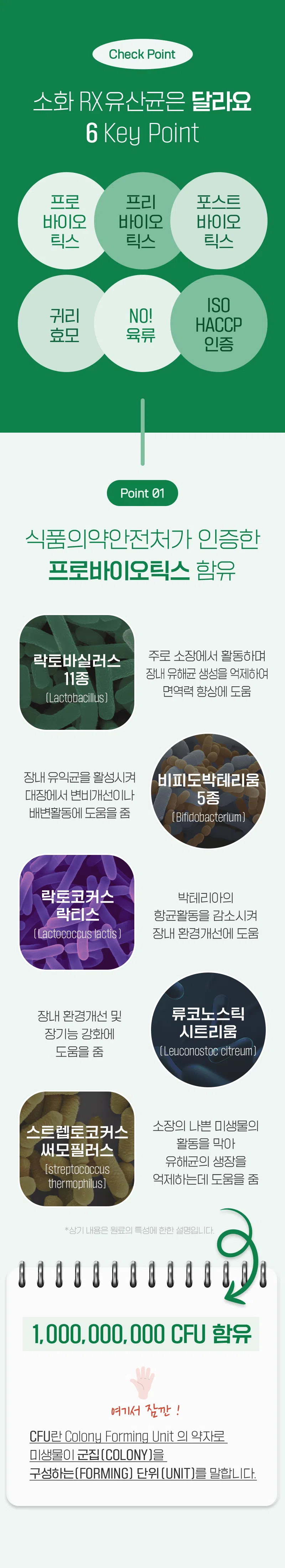 [NEW신상][무료배송] 뉴알엑스 소화 RX 유산균 60개입 180g 8번째