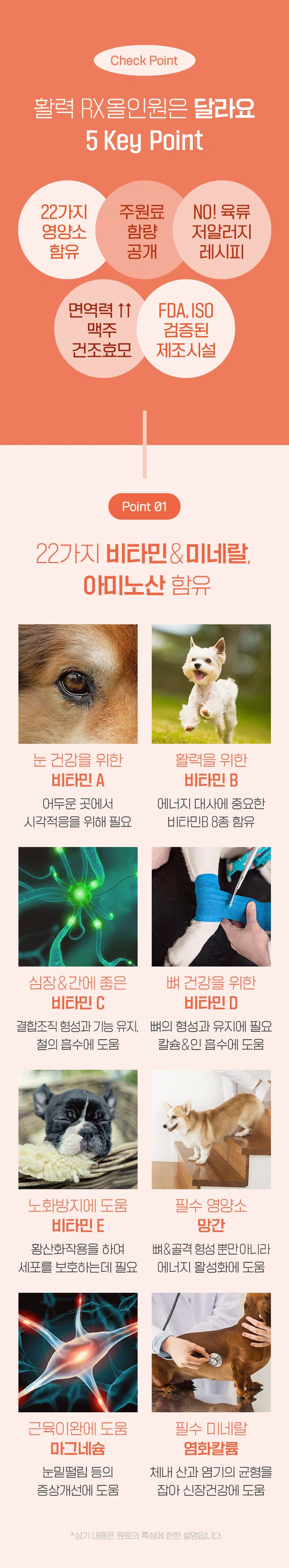 [NEW신상][무료배송] 뉴알엑스 활력 RX 올인원 60개입 180g 13번째