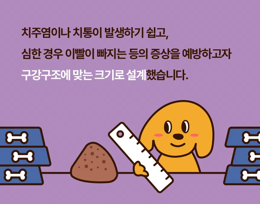 [NEW신상][무료배송] 데이스포 독 와이즈 아이즈 1.2kg 14번째