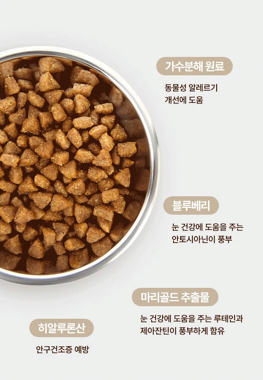 [NEW신상][무료배송] 데이스포 독 와이즈 아이즈 1.2kg 9번째