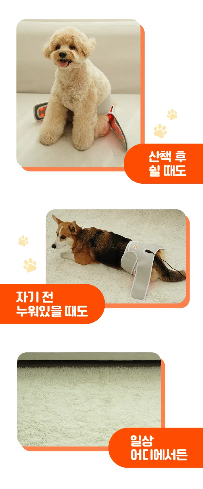 [가을특가][무료배송] 시리어스펫 슬개골 따땃망토 프로 8번째